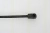 TRISCAN 8710 65104 Gas Spring, bonnet